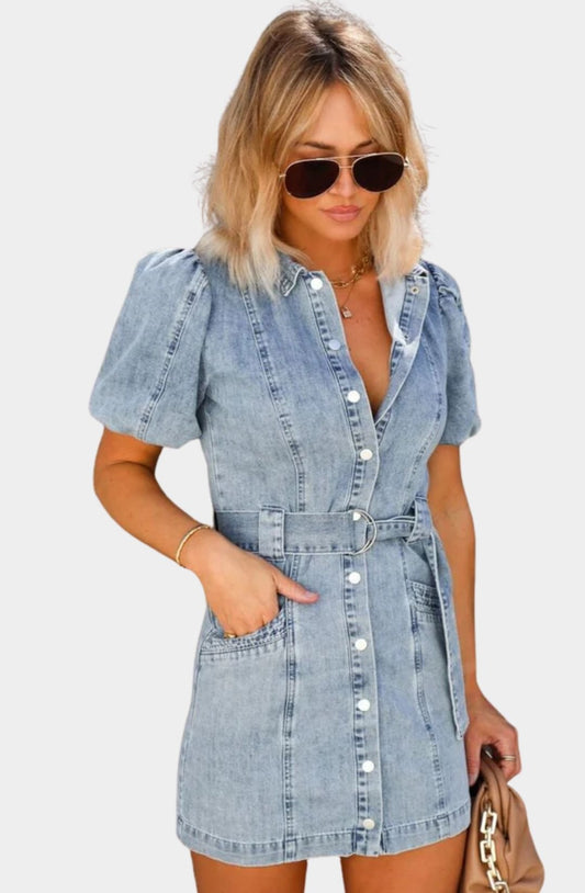 Haven Denim Dress